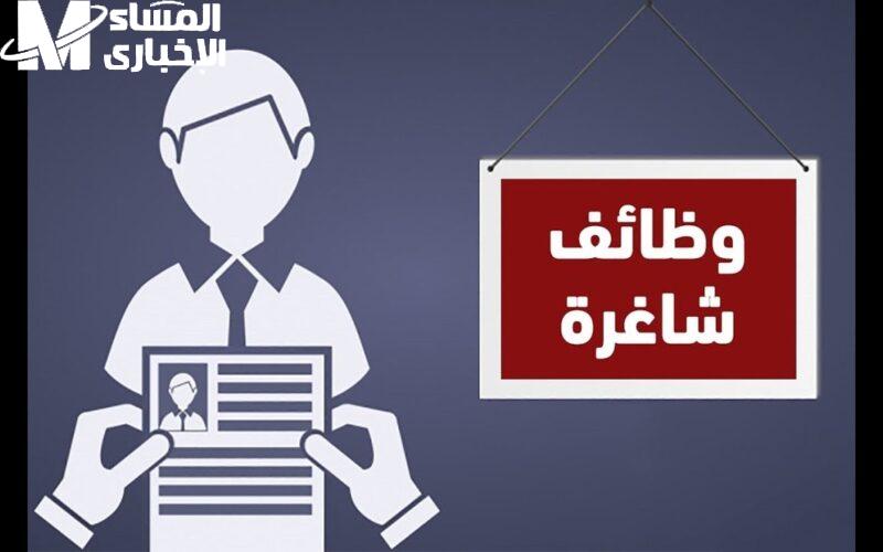 التقديم علي وظائف التضامن الاجتماعي بهذه الشروط المطلوبة