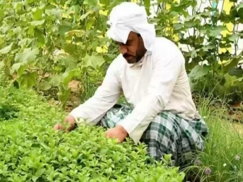 الراجحي يوضح خطوات سداد رسوم تجديد إقامة عامل زراعي في السعودية