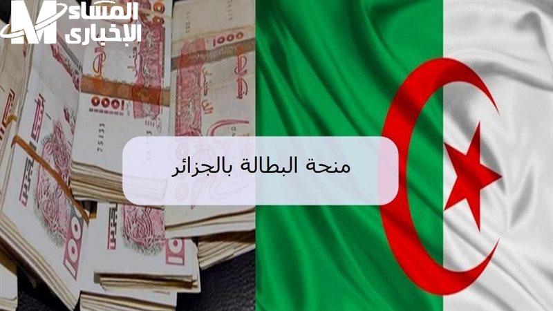 التربية الوطنية تعلن خطوات الحصول على منحة البطالة في الجزائر