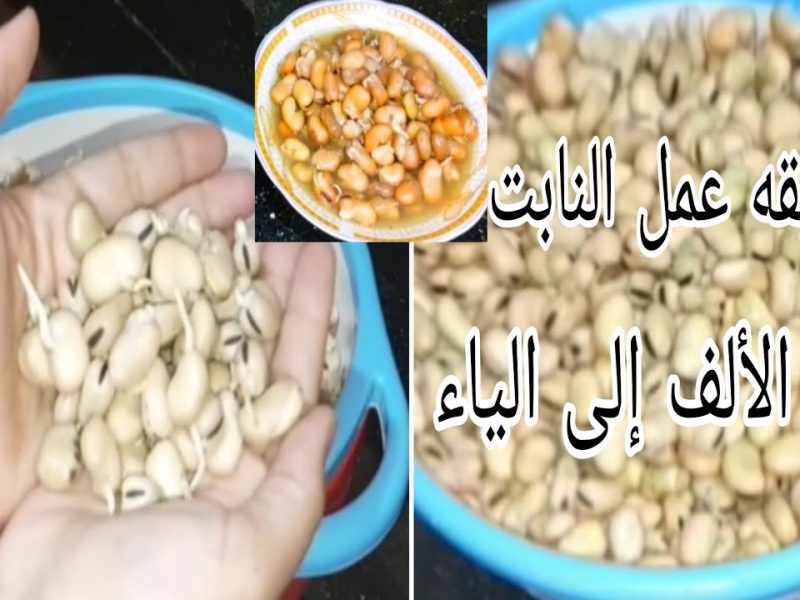 الاكلة الشعبية ..  طريقة لتحضير الفول النابت في المنزل