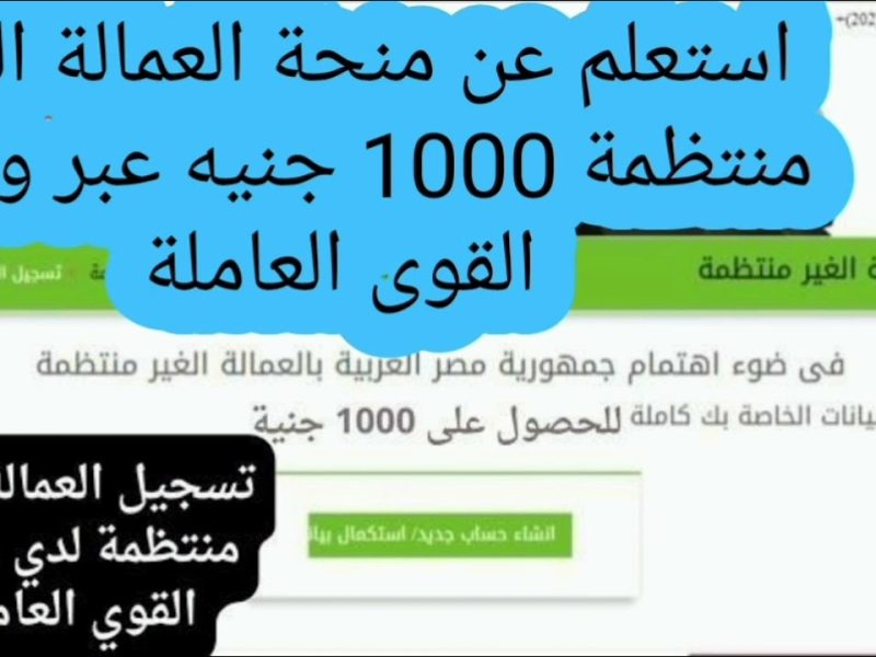 بالرقم القومي ..  منحه العماله الغير منتظمه 1000 جنيه بهذه الشروط والأوراق المطلوبة