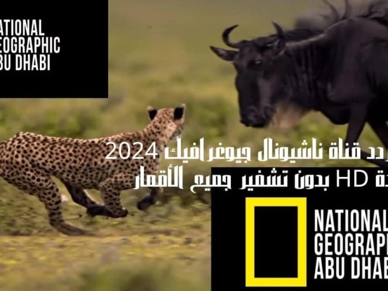 تنزيلها علي الرسيفر .. تردد قناة ناشيونال جيوغرافيك 2024 National Geo