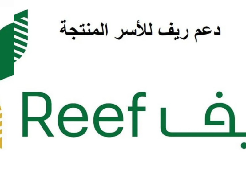 احصل علي الدعم السعودي عبر خطوات تسجيل برنامج دعم ريف 1446