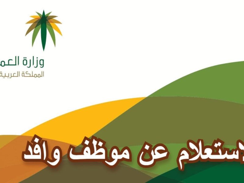 خطوات الاستعلام عن عامل وافد في المملكة 1446 عبر وزارة العمل بشروط