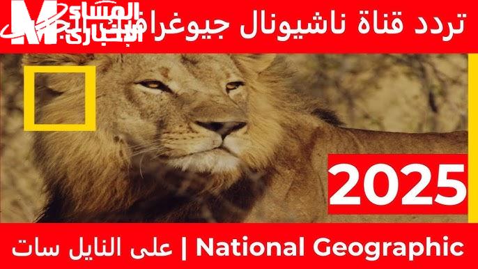 اضبطها فوراً ..  تردد قناة ناشيونال جيوغرافيك 2025 الجديد باشارة عالية 