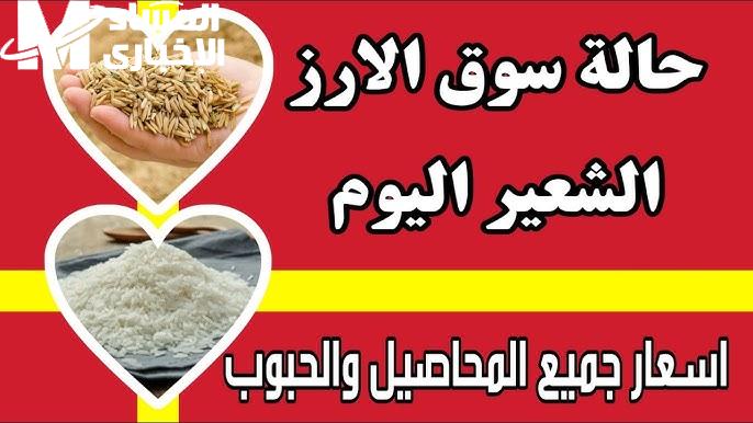 سعر طن الأرز الشعير اليوم الاثنين 9/12/2024