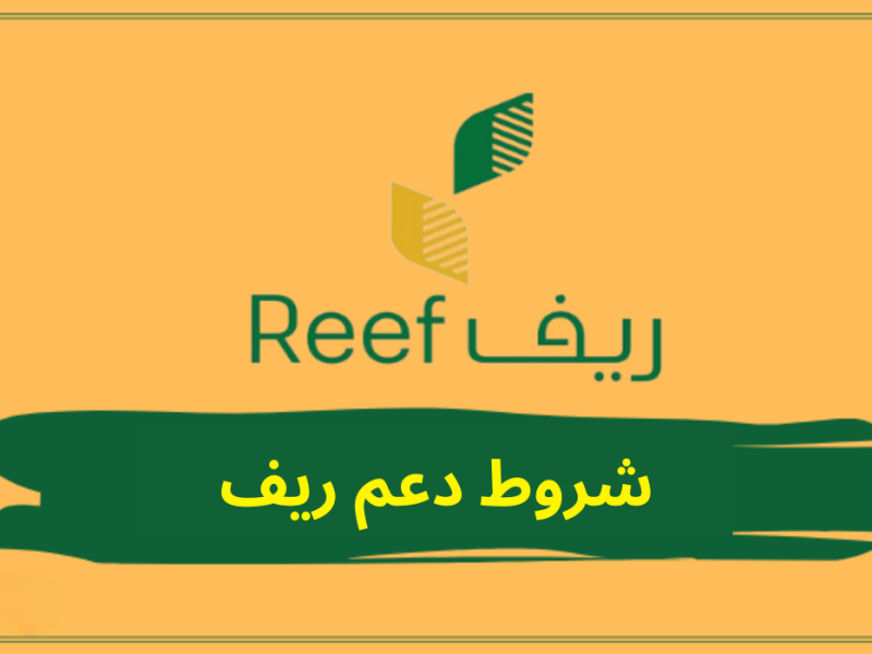 هُنا الان خطوات الاستعلام عن دعم الريف 1446 “reef.gov.sa”