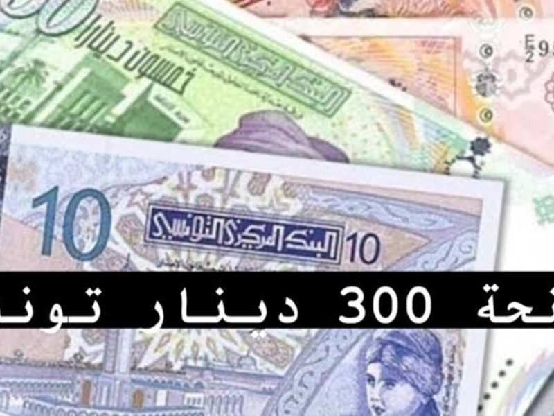 قدم حالا علي رابط التقديم في منحة 300 دينار تونس بهذه الشروط