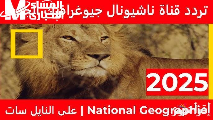 لجميع الطبيعة بصورة مميزة تعرف علي تردد قناة ناشيونال جيوغرافيك 2025 - المساء الاخباري