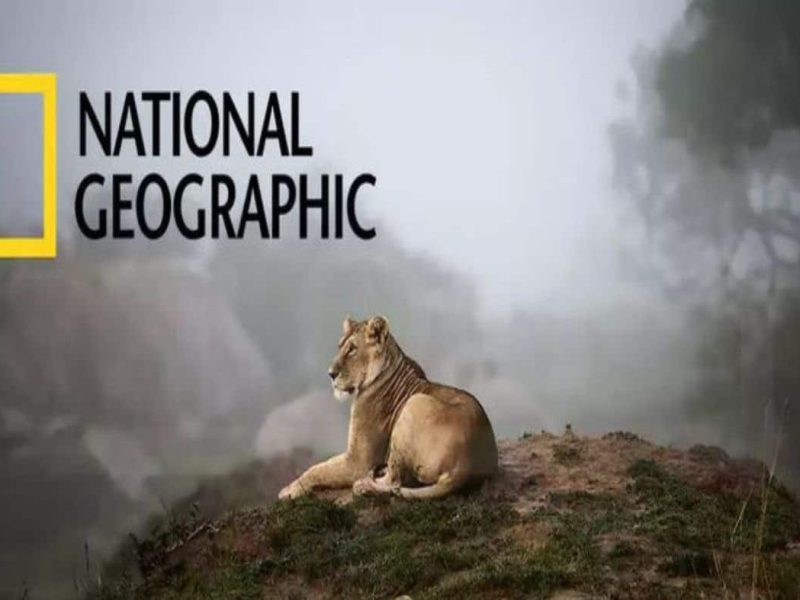 لعشاق الطبيعة علي أصولها .. نزل الآن تردد قناة ناشيونال جيوغرافيك 2025 National Geo