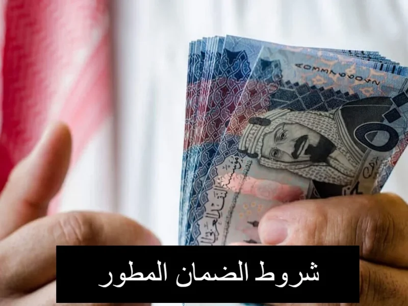 الفئات المستفيدة من الضمان الاجتماعي المطور في السعودية 1446