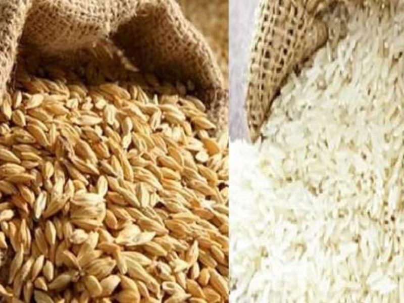 في جميع الأسواق المصرية سعر طن الأرز الشعير اليوم الجمعة 17/1/2025