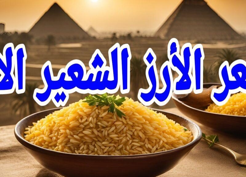 في جميع الأسواق المصرية تعرف علي سعر طن الارز الشعير اليوم الأربعاء 22/1/2025