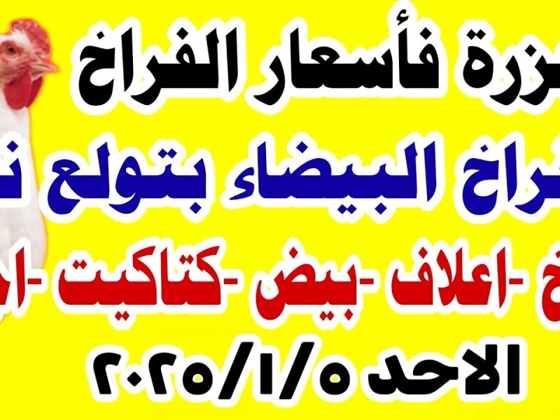 الفراخ زادت تاني ؟ اسعار الدجاج اليوم الأحد 5 يناير 2025 في بورصة الدواجن المصرية