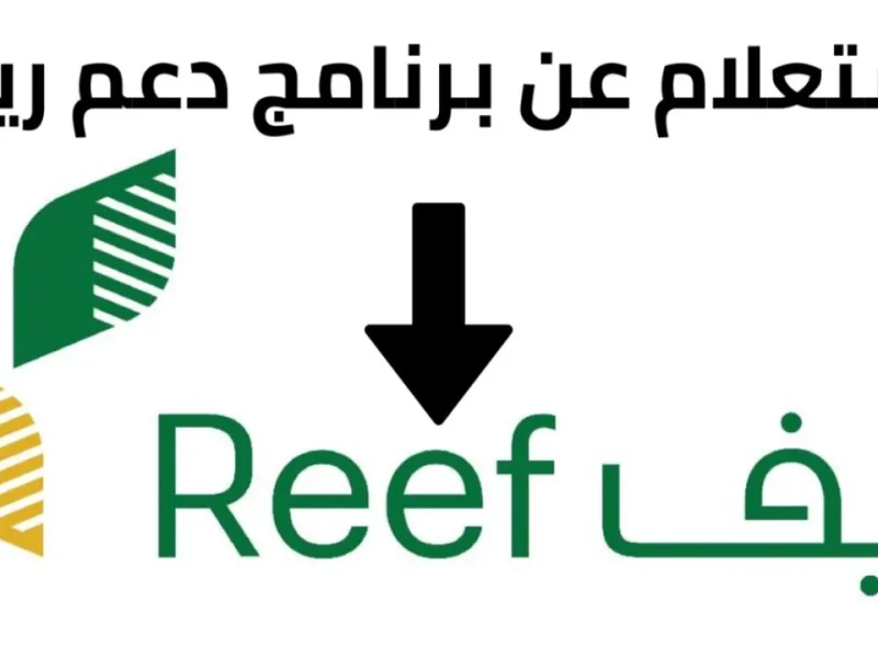 بأهم الشروط تعرف علي الاستعلام عن الدعم الريفي ومعايير القبول 1446 في السعودية