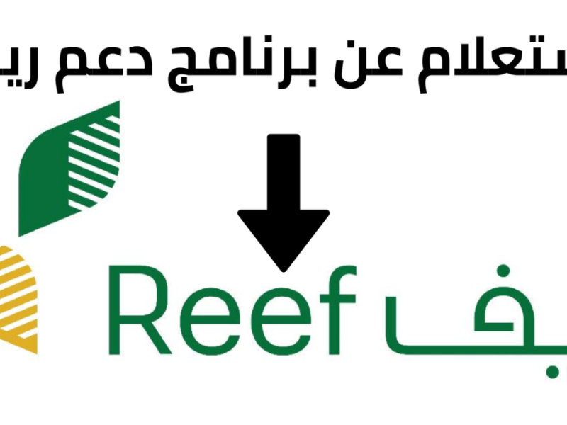 بكيفية الحصول عليها الاستعلام عن دعم ريف الدفعة الجديدة 2025 / 2026