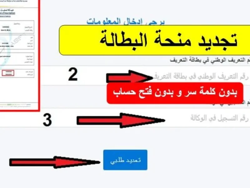 الوكالة الوطنية توضح خطوات تجديد منحة البطالة كل 6 أشهر