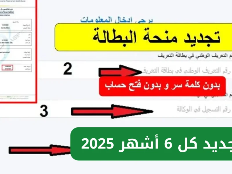 كافة الاستعلام عن رابط تجديد منحة البطالة كل 6 أشهر في الجزائر بالشروط