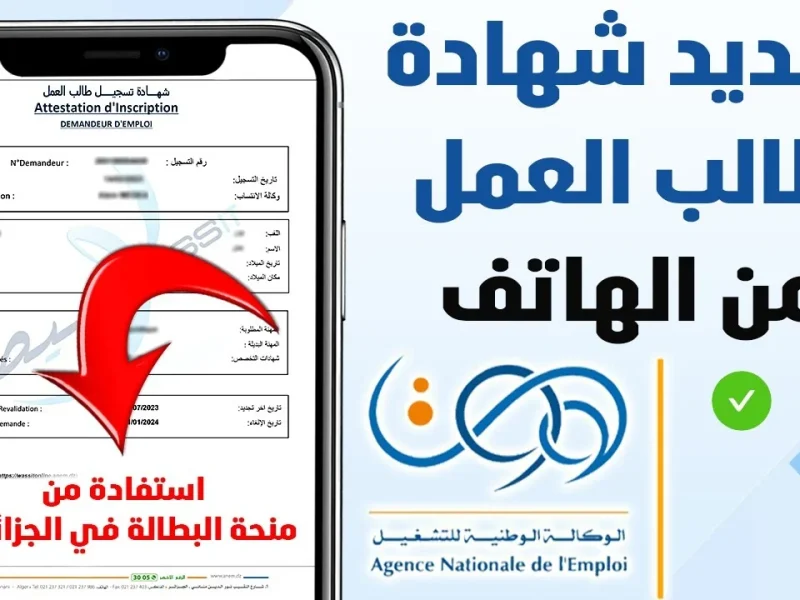 الوطنية للتشغيل تطرح  رابط تجديد منحة البطالة كل 6 أشهر 2025