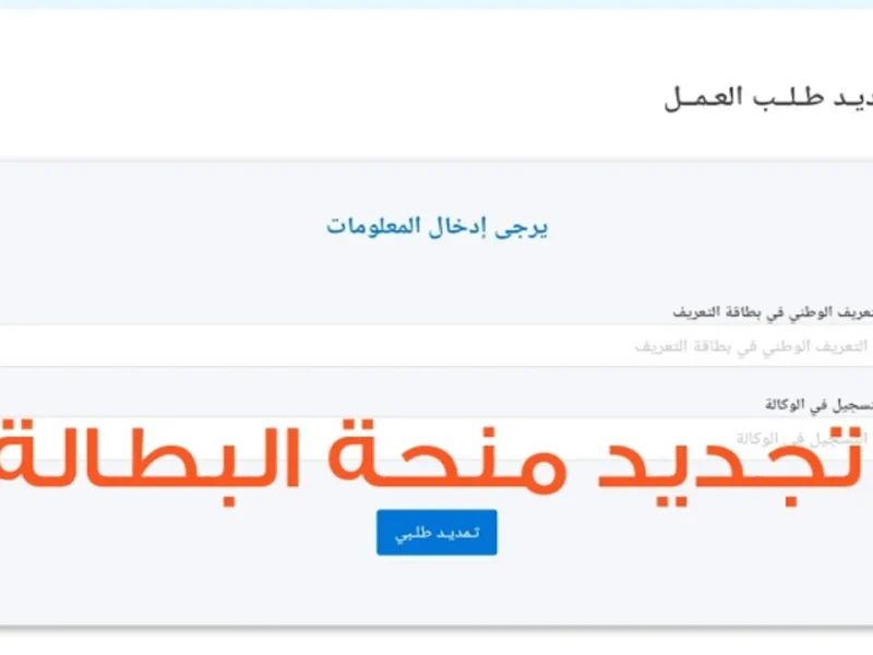 بالشروط المطلوبة إلكترونياً تجديد منحة البطالة كل 6 أشهر من الهاتف