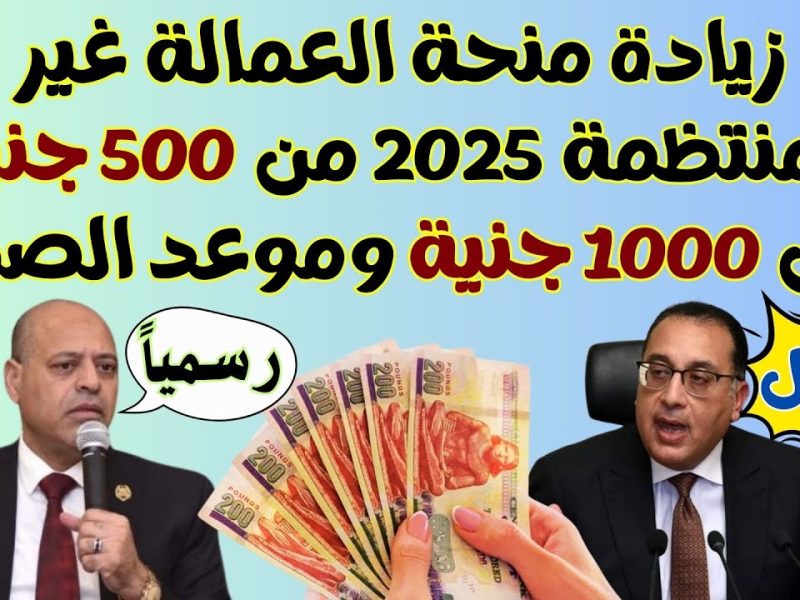 وزارة القوي العاملة في مصر تُعلن خطوات التسجيل وصرف منحة العمالة غير المنتظمة 2025