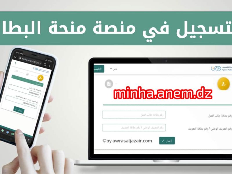الموعد اتفتح من تاني.. طريقة تجديد منحة البطالة في الجزائر 2025 بخطوات سهلة