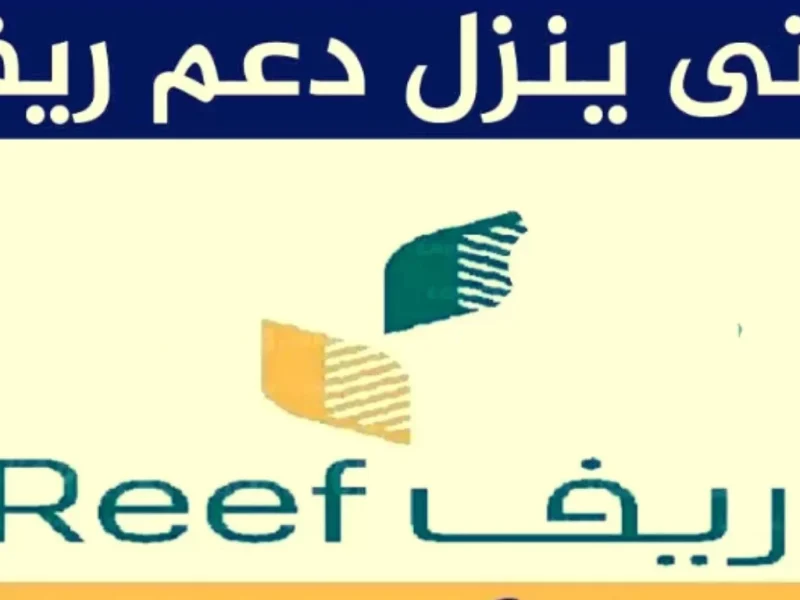 عبر دعم ريف الآن بالخطوات متي ينزل دعم ريف دفعة يناير 1446