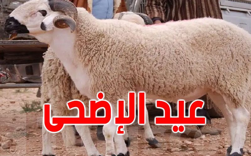 وفقاً لجميع الحسابات الفلكية وتحديد موعد عيد الاضحي 2025