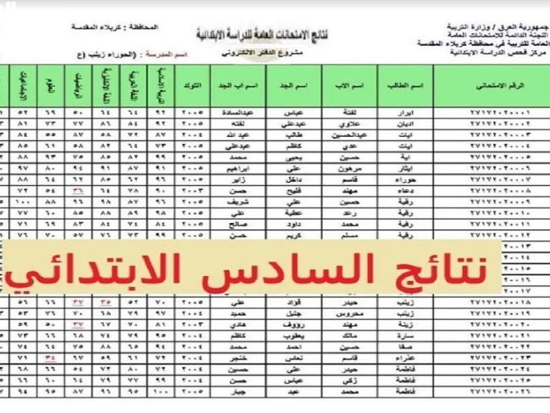 شوف النتيجة..الاستعلام عن نتائج الصف السادس الابتدائي العراق 2025 من موقع نتائجنا