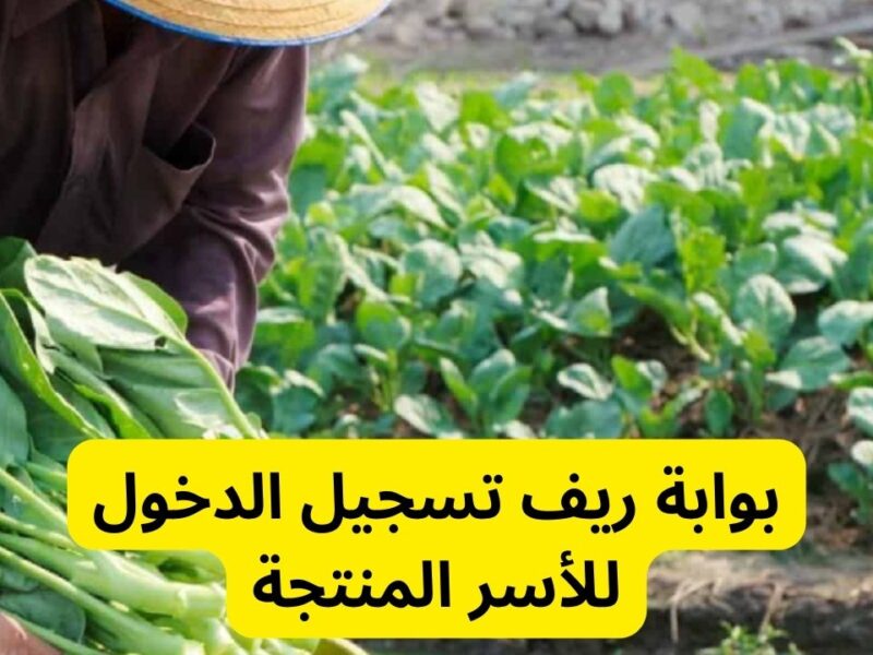 ابدأ مشروعك الخاص.. خطوات التسجيل في دعم ريف للأسر المنتجة 1446