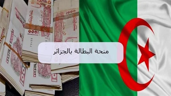 تجديد آلي..تجديد منحة البطالة في الجزائر 2025 عبر الوكالة الوطنية للتشغيل شرح مفصل للخطوات والشروط