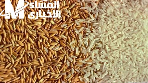 الحبات الرفيعة والعريضة تعرف علي سعر طن الأرز الشعير اليوم 2/2/2025 في مصر