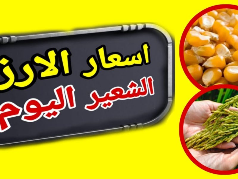 بكافة الأسواق المصرية تابع الآن سعر طن الأرز الشعير اليوم الأحد 2 فبراير 2025