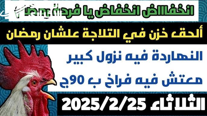 آخر تحديثات السوق..أسعار الدواجن اليوم الثلاثاء 25/2/2025 في مصر