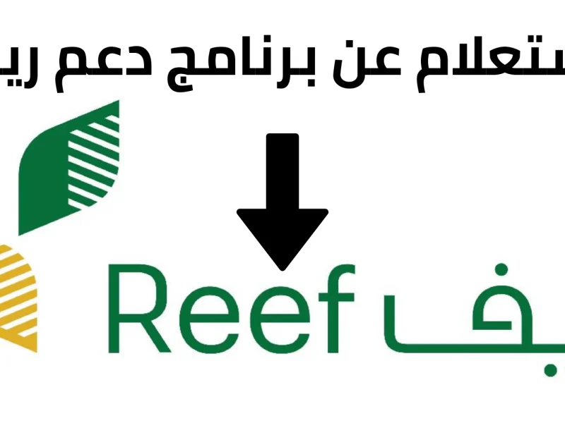 بدون تعقيد استعلم عن دعم ريف عبر النفاذ الوطني بسهولة