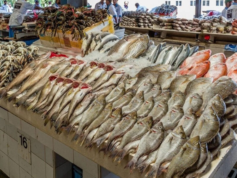 بتفكر تتغدى سمك.. أسعار السمك الكاملة للبلطي والبوري اليوم الثلاثاء 8/4/2025