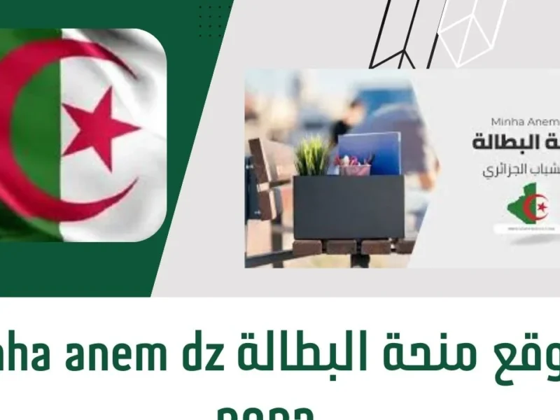 لو بطالتك لسه سارية ومتستناش آخر لحظة.. اعرف ازاي تجدّد منحة البطالة 2025 وتستلم دعمك الشهري من غير ما يتوقف