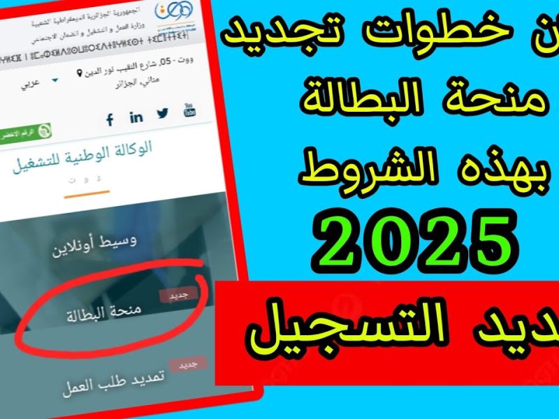 مفيش وقت تجديد منحة عاطل من موبايلك في 2025 عبر الوكالة الوطنية للتشغيل اعرف الرابط والشروط المطلوبة بسرعة