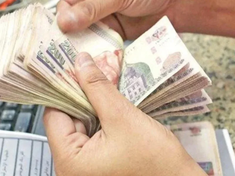  إزاي تستعلم عن قيمة معاشك بالاسم عبر موقع التأمينات الاجتماعية قبل صرف معاشات فبراير 2025