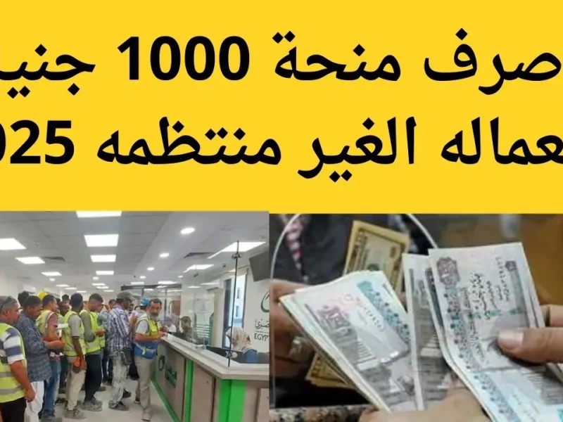 سجل الآن عليها وأحصل علي 1000 ج منحة العمالة غير المنتظمة 2025