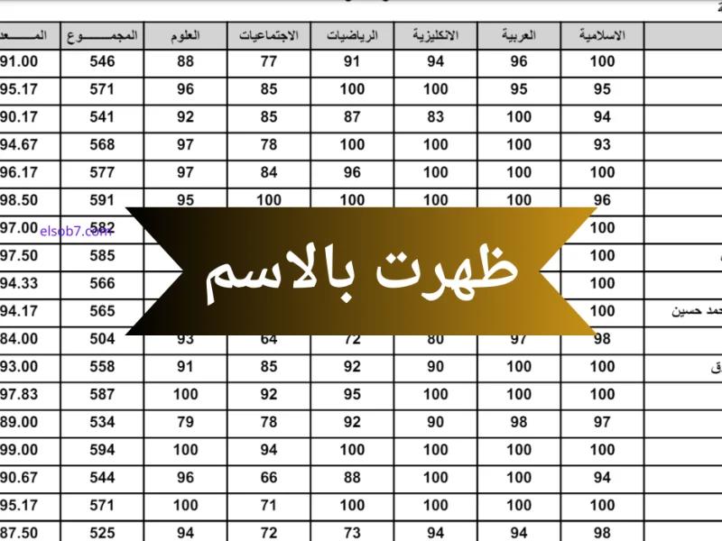 كوكل لينك فعال …  نتائج الصف السادس الابتدائي كربلاء العراق الفصل الأول