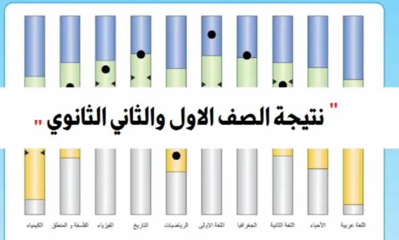 في محافظة كفر الشيخ والمحافظات تعرف علي الحصول علي درجات نتيجة الصف الثاني الثانوي 2025 