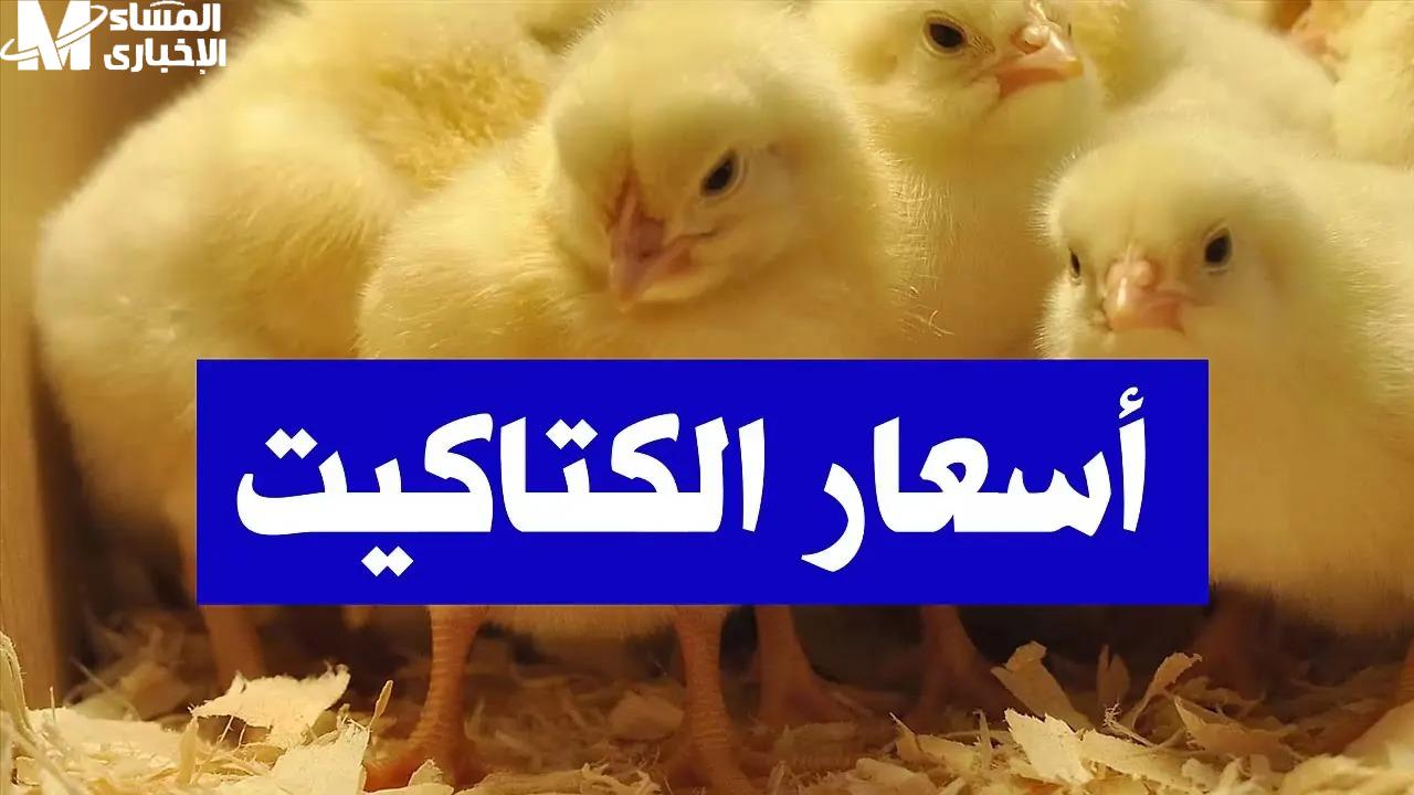  سعر الكتكوت اليوم السبت