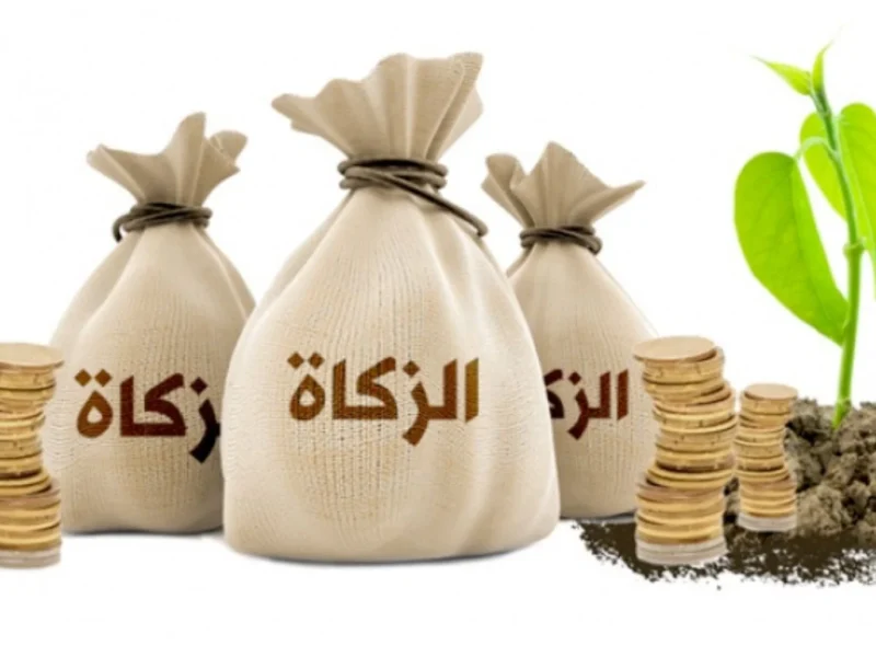 كم مقدار زكاة الفطر نقداً في سلطنة عمان 2025 – 1446 وخطوات الدفع عبر هذا الرابط donate.om