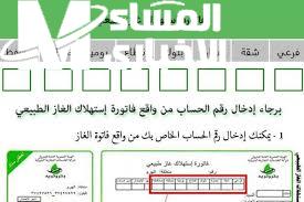 تعرف على حقيقة الأمر.. زيادة 62 جنيه على فاتورة الغاز