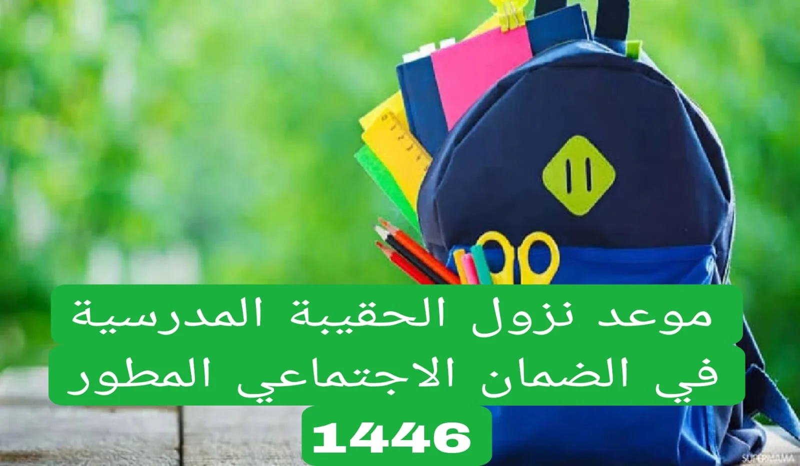 تفاصيل مهمة بشأن طلاب الضمان والمواعيد النهائية