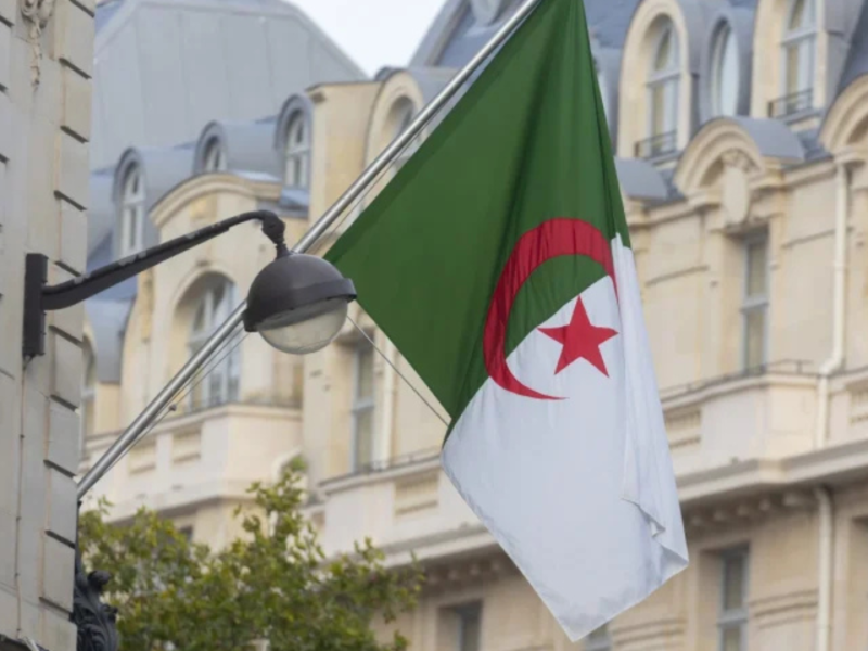 الدينار في الطريق لجيبك.. منحة الطفل بالجزائر 2025 نازلة دلوقتي دعم حقيقي