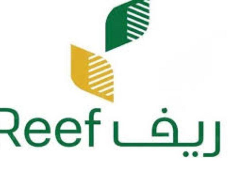 استثمر في مهارتك.. كيفية التقديم على دعم ريف للأسر المنتجة
