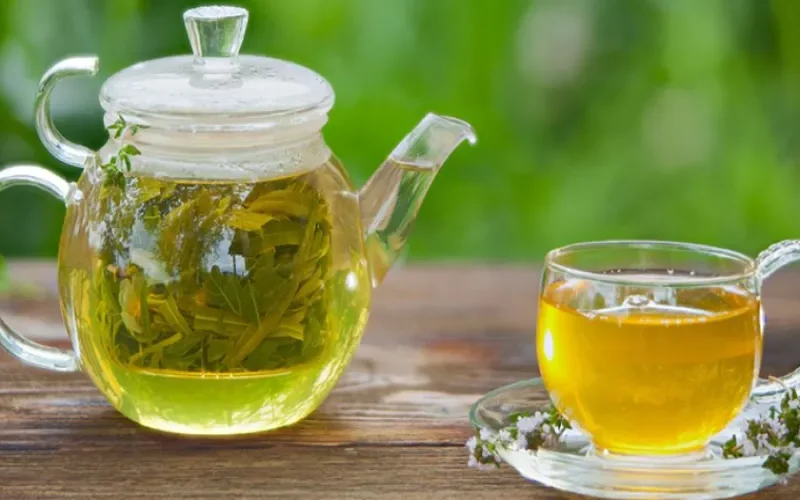 3 مشروبات تنشط وتنعش الذاكرة أبرزها الشاي الأخضر.. تعرف علبها واحمي نفسك من الزهايمر