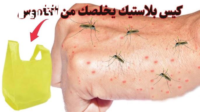 سر رهيب محدش كان يعرفه.. للتخلص من الناموس والذباب بدون مبيدات حشرية أو مواد كيميائية